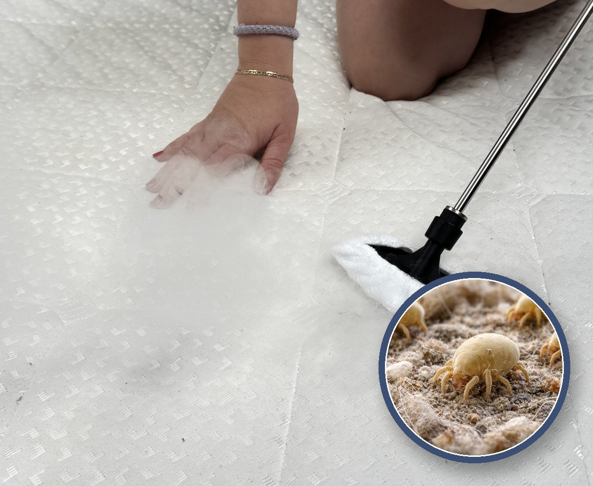 Person damper madras med CleanMaster Pro - lup-zoom afslører husstøvmider